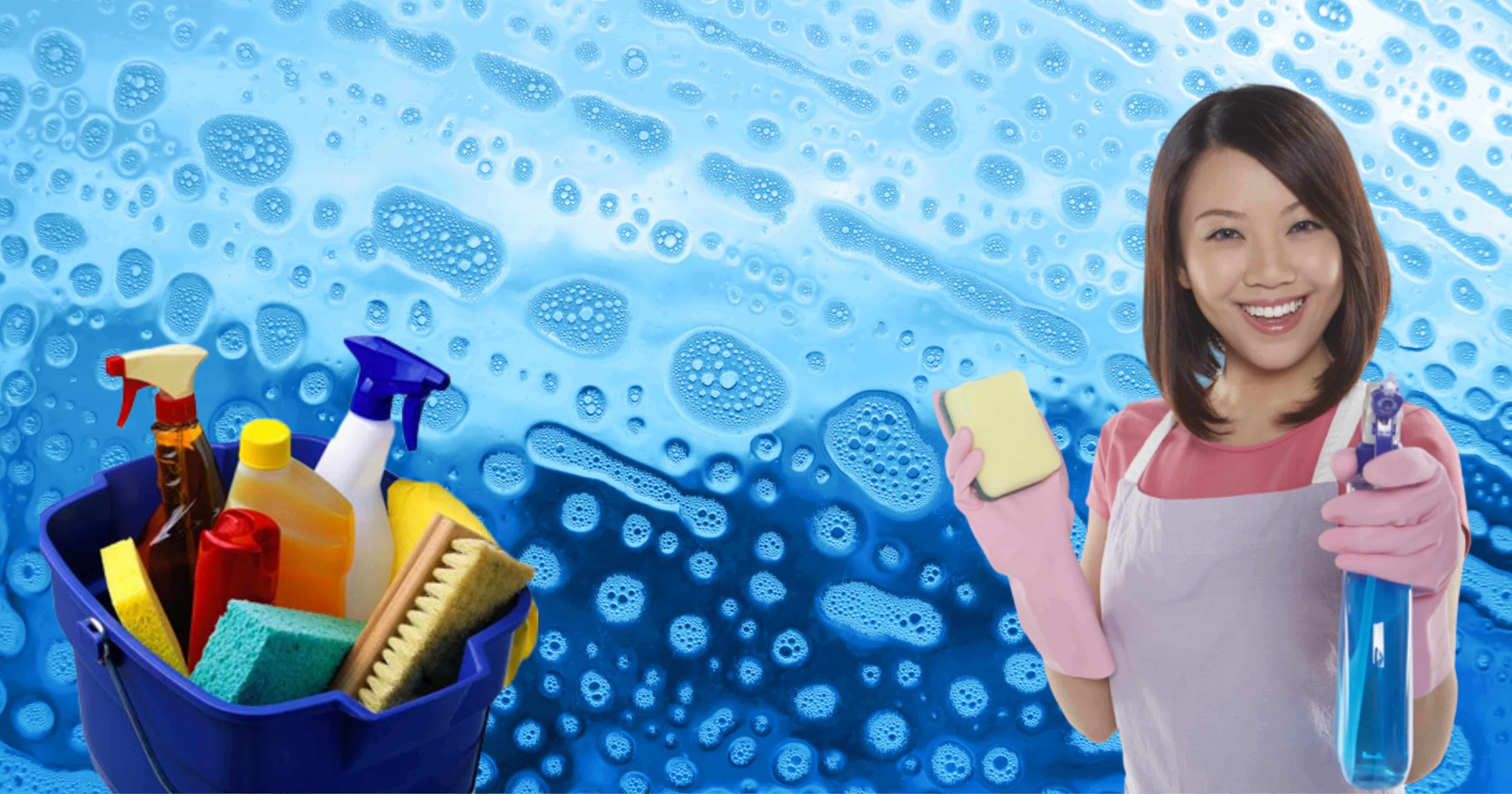 Miss Spotless professional home cleaning service